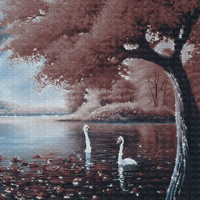 kikkapink autumn background swan lake - Безплатен анимиран GIF