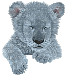 lion katrin - Δωρεάν κινούμενο GIF