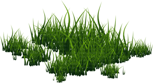 Herbe - 無料png