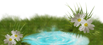 Kaz_Creations Deco Pond - PNG gratuit