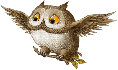 Kaz_Creations Owls Owl - gratis png