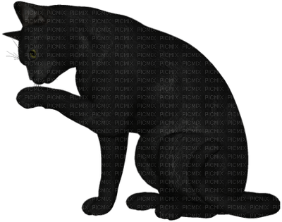 MMarcia deco gato black - png ฟรี