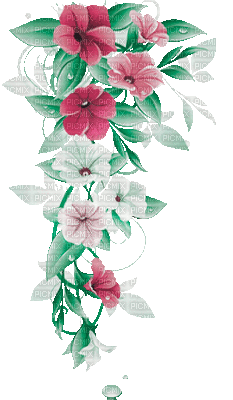 soave deco branch flowers animated pink green