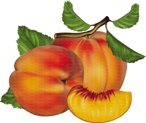 peach Bb2 - png gratis