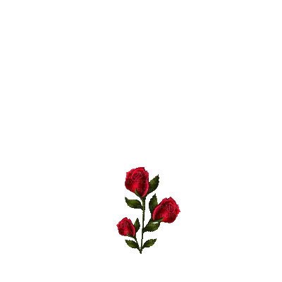 forgó rózsa - GIF animé gratuit