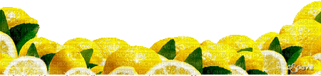 soave deco fruit summer border lemon animated - GIF animasi gratis