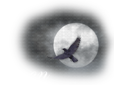 crow moon - 免费PNG