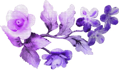 soave deco flowers animated branch spring summer - Δωρεάν κινούμενο GIF