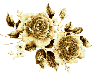 MMarcia gif dourado rosas deco - GIF animado gratis