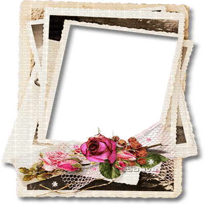soave frame deco vintage photo flowers rose - δωρεάν png