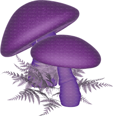 Kaz_Creations Purple Violet Scrap Deco - безплатен png