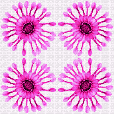 pink flower background - GIF animado gratis