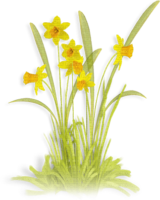 soave deco  flowers daffodils spring green yellow - bezmaksas png