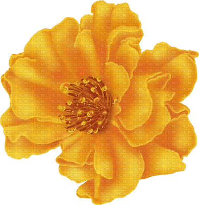 fleur jaune.Cheyenne63 - png gratis