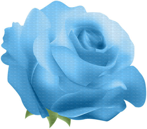 blue rose 3 - ilmainen png