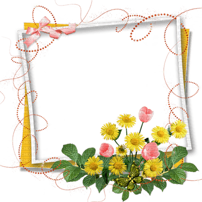 cadre fleurs - gratis png
