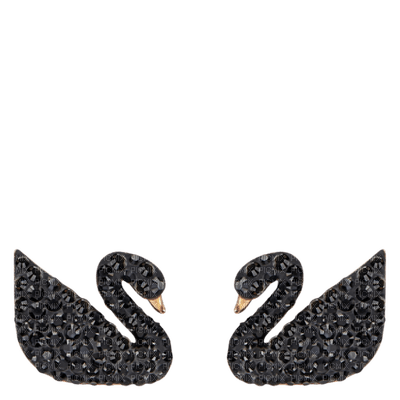 swan black - besplatni png