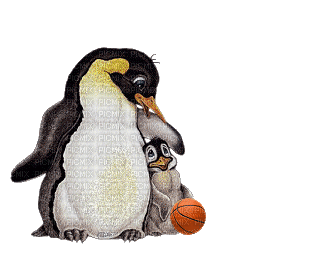 pingouin - 免费动画 GIF
