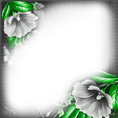 soave frame flowers vintage corner black white - darmowe png