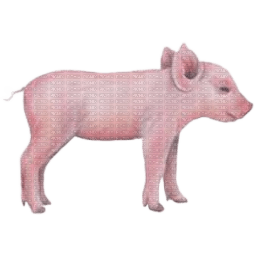 charmille _ animaux - kostenlos png