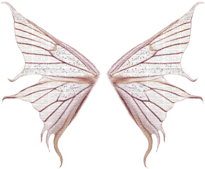 Wing, Wings, Deco - Jitter.Bug.Girl - δωρεάν png