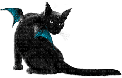 soave deco cat animals gothic halloween - безплатен png