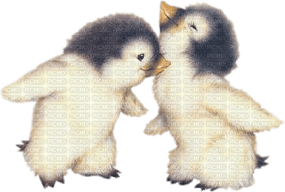 pinguino - Free PNG
