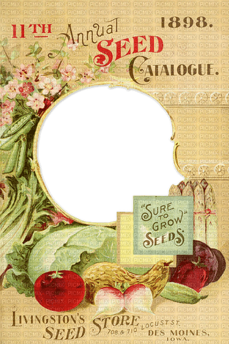 Vintage Frame Vegetables - фрее пнг