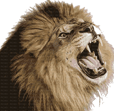 Kaz_Creations Lion Roar - Darmowy animowany GIF