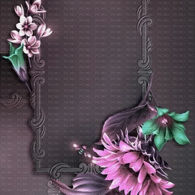bg-frame-flower-pink - PNG gratuit