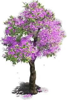 spring trees bp - Free animated GIF