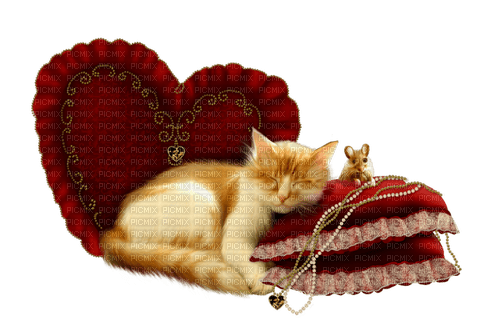 Sleeping cat - kostenlos png