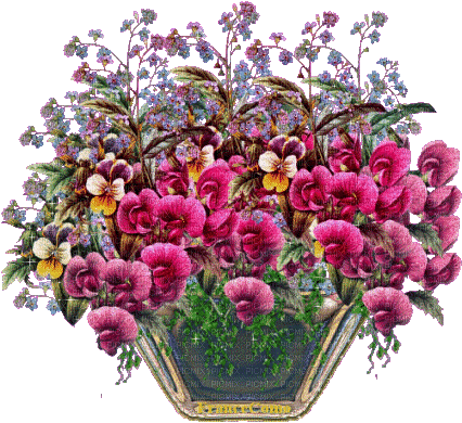 Pot de fleurs - 無料のアニメーション GIF