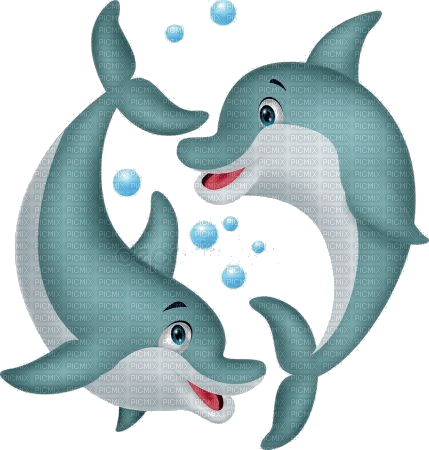dolphin - gratis png