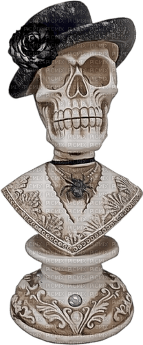 bust skull by nataliplus - darmowe png