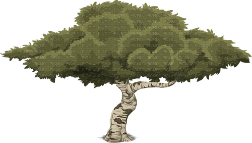 Kaz_Creations Tree - nemokama png