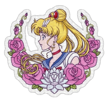 Sailor moon ❤️ elizamio - bezmaksas png