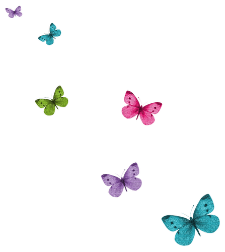 butterflies - png ฟรี