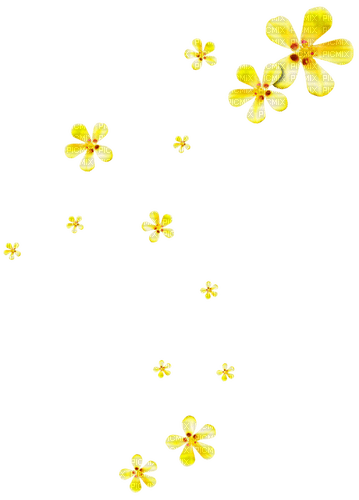 Flowers.Yellow - gratis png