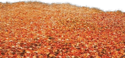 Herbst - png grátis