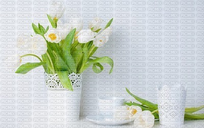 Kaz_Creations Deco  Flowers Backgrounds Background Colours - ilmainen png