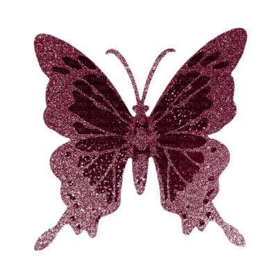 Tube Scrap-Décoration papillon - png grátis