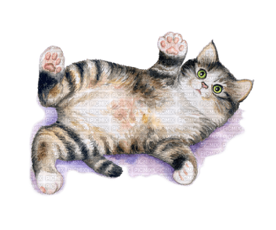 Kaz_Creations Cats Cat Kittens Kitten - png gratis