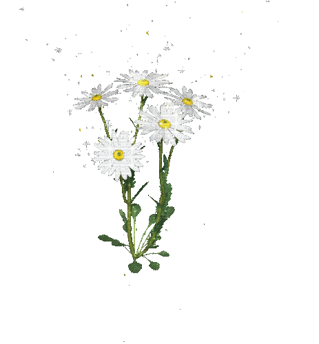 цветы - GIF animado grátis