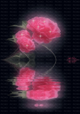 rose eau - GIF animé gratuit