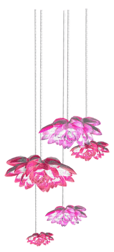 Flowers.Pink - nemokama png