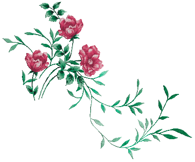 soave deco animated branch flowers pink green - GIF animé gratuit
