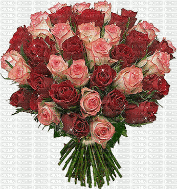 Pink and Red Roses Glitter - GIF animado gratis
