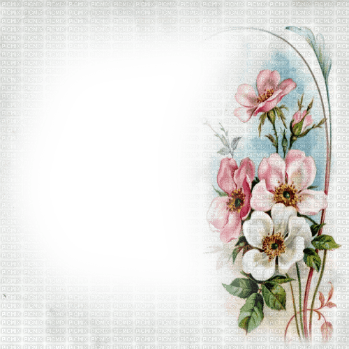 frame transparent vintage flowers  rose - 無料png