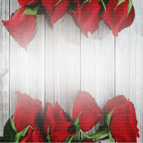 roses bg - 免费PNG